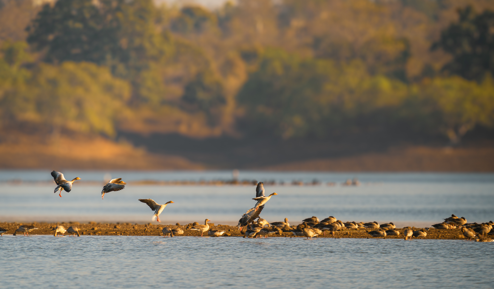RUNWAY OVER THE RESERVOIR